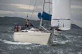 saracen gbr626t whyw18 tue gjmc 8367w